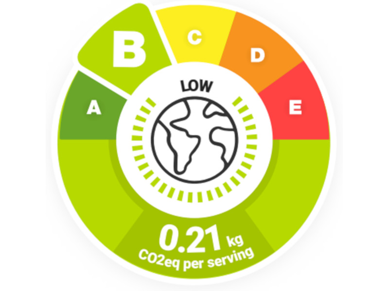 carbon footprint